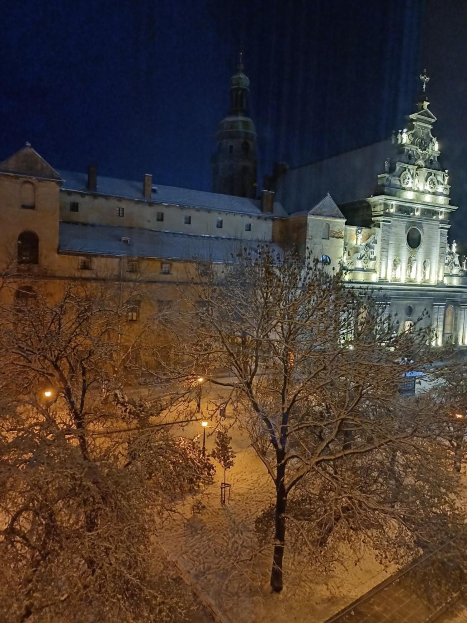 The Heart Of Lviv 아파트 외부 사진